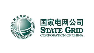 國家電網公司